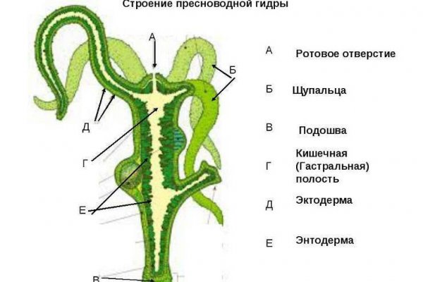 Kraken клирнет зеркало